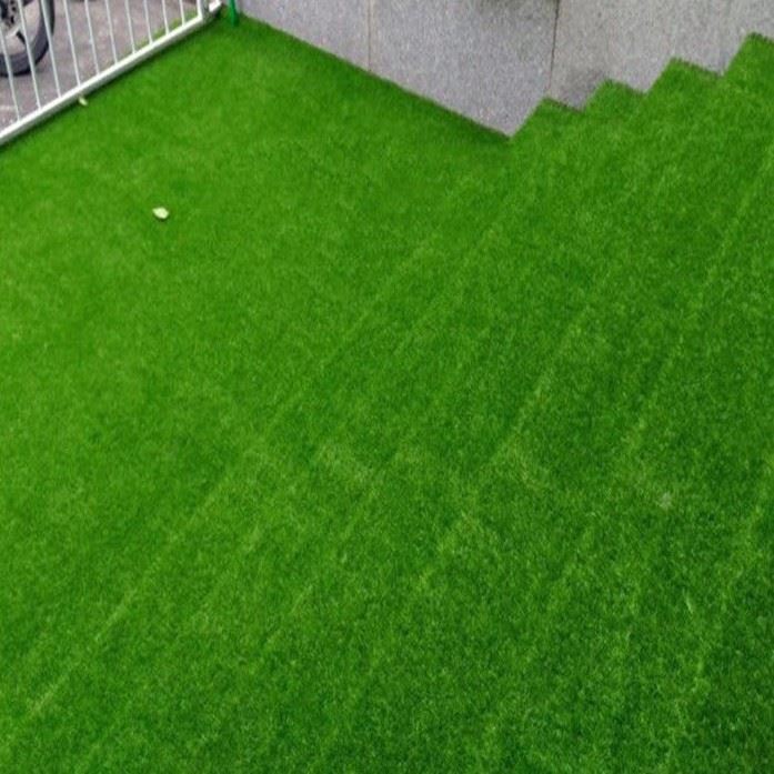 Landscape Lawn 