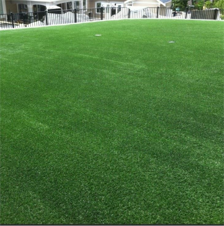 Shandong Heze Factory
