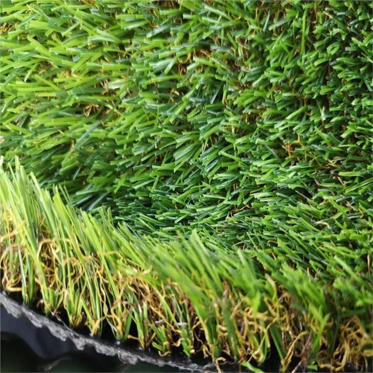 Brown And Green Grass
