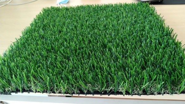 landscape grass2