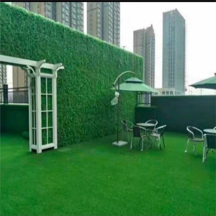 green house grass