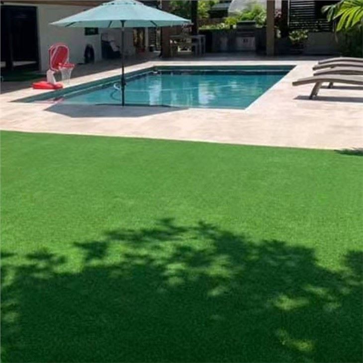 turf landscape grass (6)